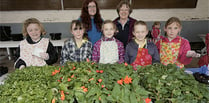 Green-fingered Brownies have flower power!