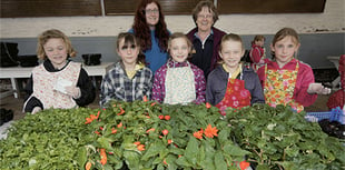 Green-fingered Brownies have flower power!