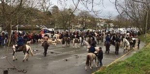 Clashes between saboteurs and hunts 'underreported'