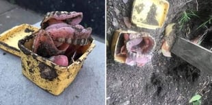 Gnasher stasher: Woman makes jaw-dropping discovery while digging up garden