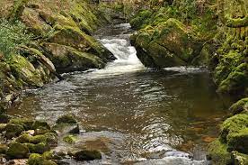 River Erme at Ivybridge