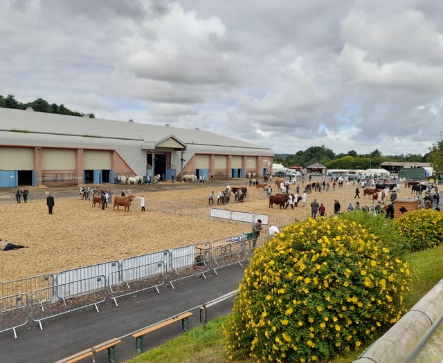 Crowds pour in to Devon County Show 