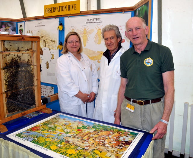 Bees, bees and more bees at Devon County Show 