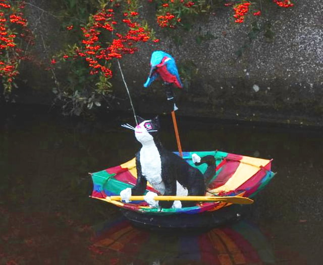 Cat released into Totnes leat