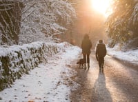 Enjoy a wintry wood walk this Christmas