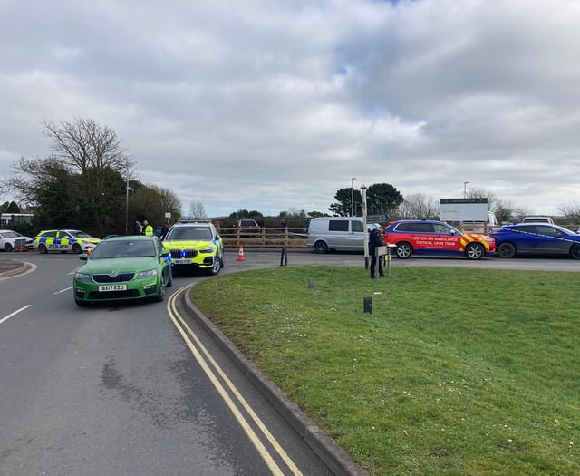 Police appeal for information following fatal collision involving a child