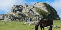 MPs secure inquiry into management of Dartmoor