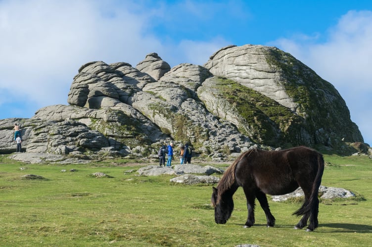 Dartmoor National Park stock image.png