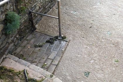 Raw sewage claims in the Salcombe estuary