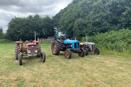 Ashprington stages its first tractorfest