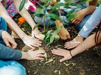 Climate and nature collaboration 