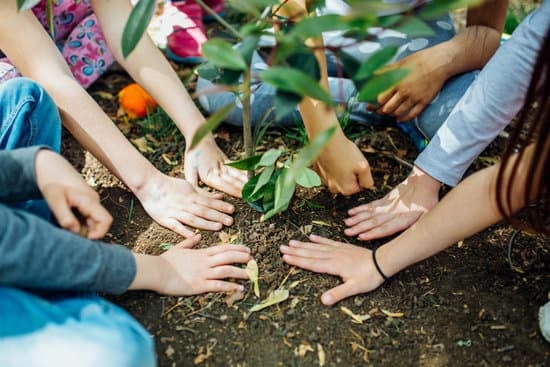 Climate and nature collaboration 