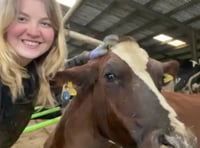 Meet farmer Erin, who decided not to follow the herd