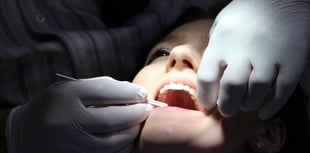 Dentist 'van' to help ease treatment crisis 