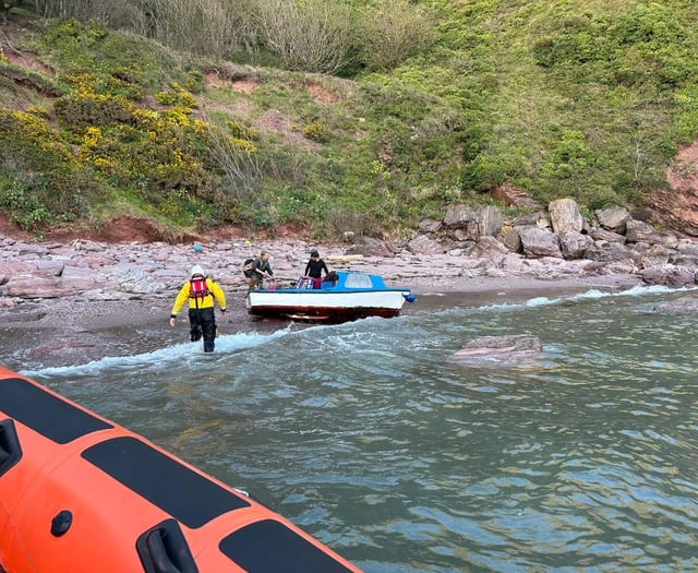 Two adults and two dogs rescued by Dart RNLI