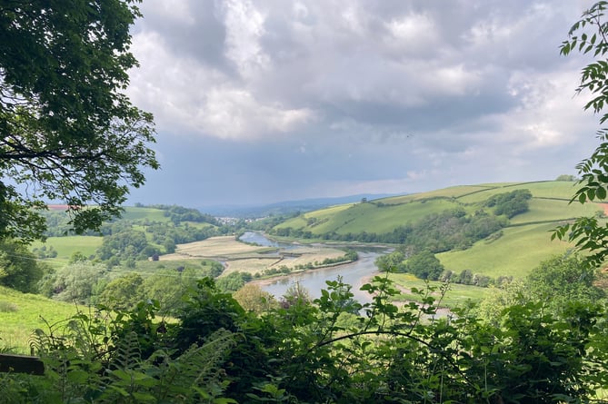 A view towards the River Dart