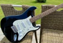 Signed Coldplay guitar up for grabs in hedgehog charity fundraiser