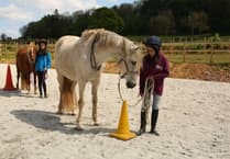 Sirona therapy with horses: the charity boosting mental wellbeing