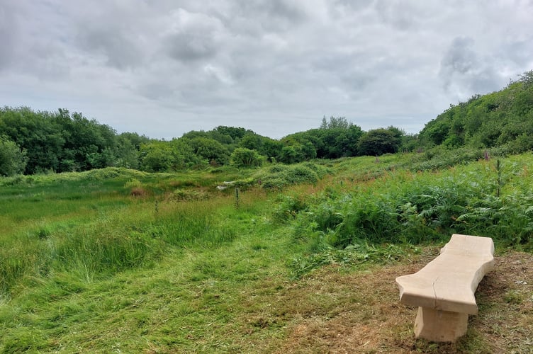 The view from Jackie’s bench. (Photo by Lineke Bosman.)