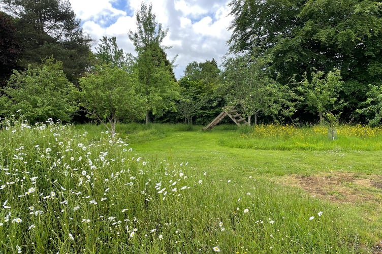 QEII Recreation Field in Modbury