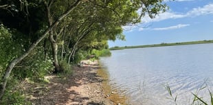 Slapton Ley to celebrate nature next month