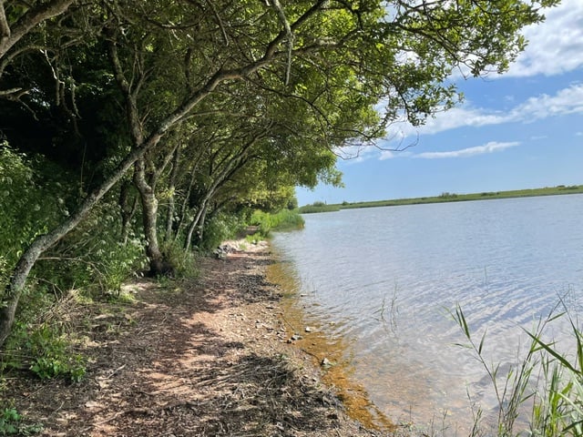 The waters of Slapton Ley, close to the Nature Trail