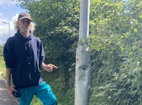 Driver blames council for lamppost damage to his pick up