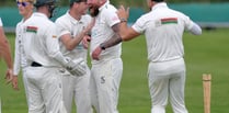 Tolchards Devon Cricket League weekend preview 03/08