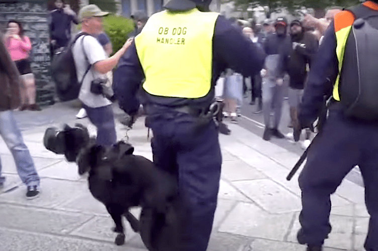 A muzzled police dog during Monday's riot in Plymouth