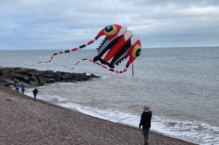 Flying a kite