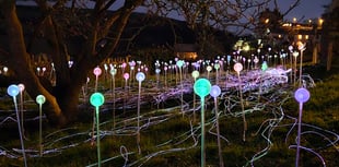 Salcombe welcomes back 200 lights