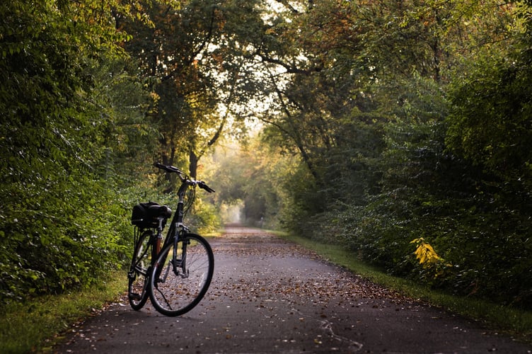 Bike Trail Image by Pam Patterson from Pixabay